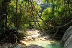 Ban Xiang-Nouak, Nahm Dong Park