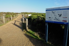 D267566