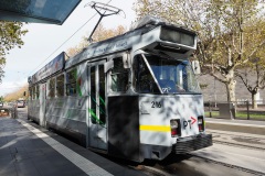 D297834