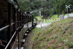 D206799