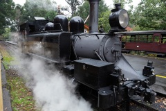 D206808