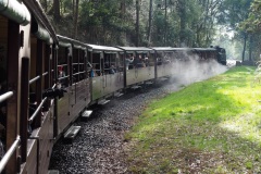 D206865