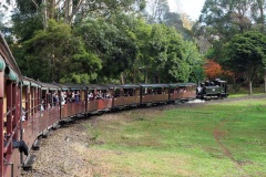 D206870