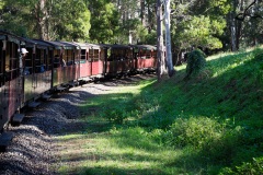 D206880