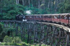 D206885