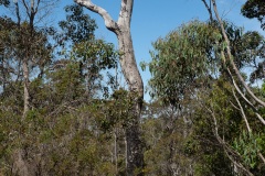 D059909