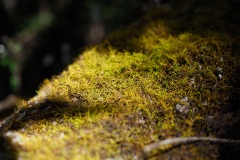 D059915