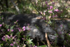 D059919