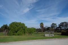 D059935