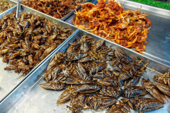 Phra Pathom Chedi Night Market