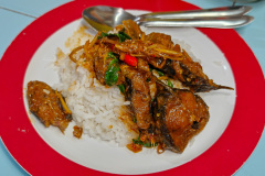 Konwan Wild Food, Pattaya, คอนหวัน อาหารป่า