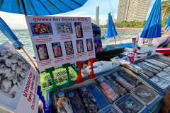 Pattaya, Sashimi Secret Beach Naklua 18