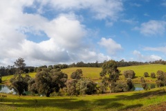 B026445-Pano