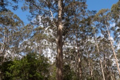 B026500