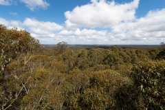 B026508