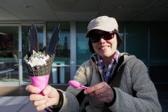 D248603