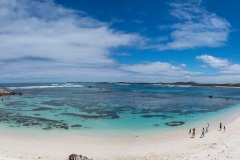D258672-Pano