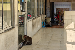 Bai Tan Restaurant