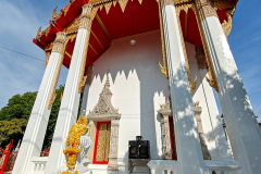Wat Phlapphla Chai - Sri Maha Bodhi Tree, วัดพลับพลาไชย - ต้นศรีมหาโพธิ์
