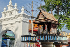 Wat Phlapphla Chai - Sri Maha Bodhi Tree, วัดพลับพลาไชย - ต้นศรีมหาโพธิ์