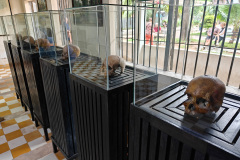 Tuol Sleng Genocide Museum