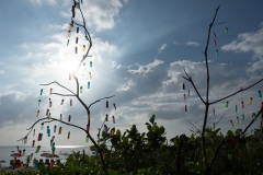 D222447