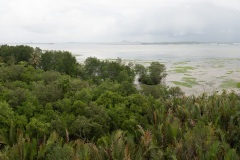 B277422-Pano