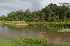 B277433-Pano