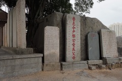 D223306
