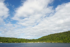 D265150