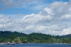D275226