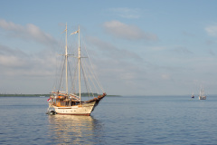 D285363