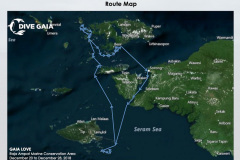 GAIA-LOVE-Route-Map