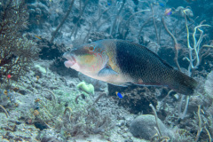 PC220114