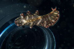 PC270120