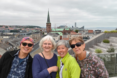 Salling Roofgarden, Aarhus