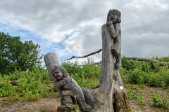 Himmelbjerget, Ry