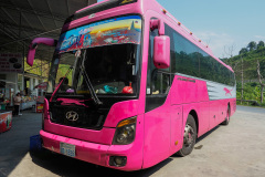 D246492