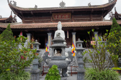 D256521