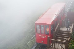 D256550
