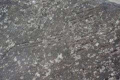D306930