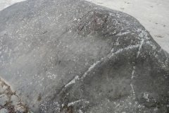 D306931