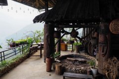 D296876