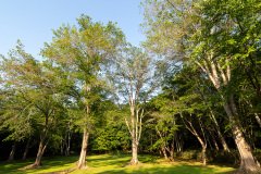 Nishioka, Nishioka Park, Sapporo