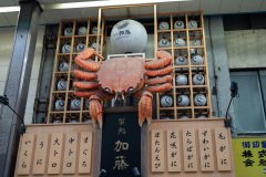 Sapporo, Tanukikoji Shopping Street, 狸小路商店街