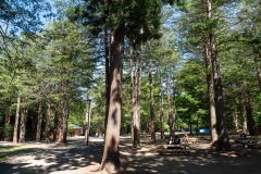 Hokkaido Jingu, Miyagaoka, Sapporo