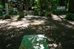 Maruyama Primeval Forest Nature Trail, Miyagaoka, Sapporo