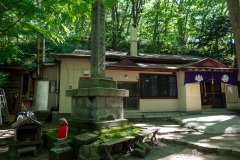 Maruyama Primeval Forest Nature Trail, Miyagaoka, Sapporo