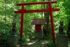 Maruyamainari Shrine, Maruyama Primeval Forest Nature Trail, Miyagaoka, Sapporo