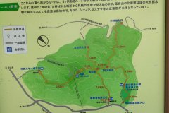 Moiwayama, Mt. Moiwa, Sapporo